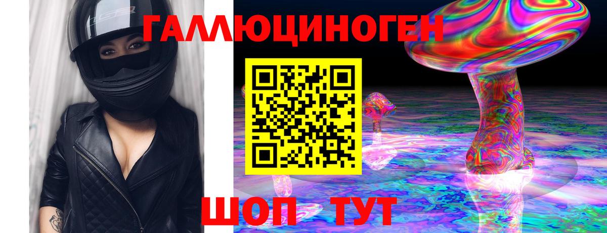 Псилоцибиновые грибы Psilocybine cubensis Арзамас